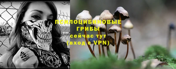 герыч Куйбышев