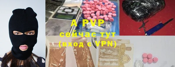 индика Архангельск