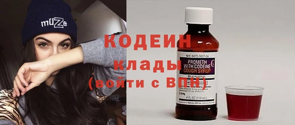 индика Архангельск