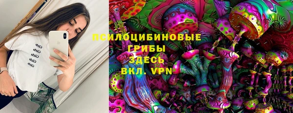 индика Архангельск