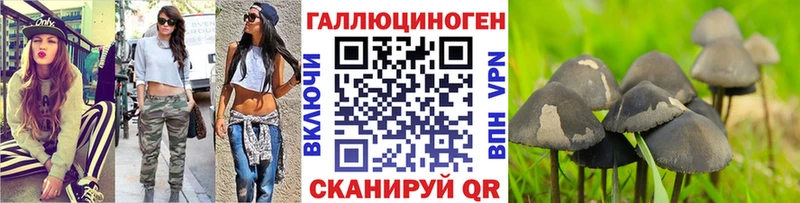Псилоцибиновые грибы Psilocybe  где продают наркотики  Ясный 
